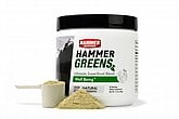 Hammer Nutrition Greens Powder (30 Servings)