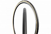 Vittoria Pista Control G2.0 Tubular Track Tire