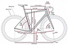 ENVE MELEE LTD Champagne Rolling Chassis 18