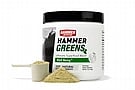 Hammer Nutrition Greens Powder (30 Servings) 1
