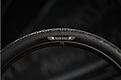 Maxxis Team Spec Aspen MaxxSpeed/EXO/TR 29" MTB Tire 2