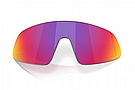 Oakley RSLV Replacement Lenses 1