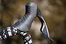 SRAM Rival AXS E1 Shifter/Brake Caliper 11