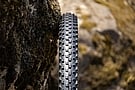 Vittoria Barzo XC Race 29 Inch MTB Tire   3