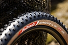 Vittoria Torrente XC Race 29 Inch MTB Tire  2