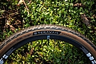 Teravail Sparwood 27.5 Inch Adventure Tire 7