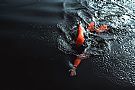 Orca Womens Openwater Core Hi-Vis Wetsuit Orca Womens Openwater Core Hi-Vis Wetsuit