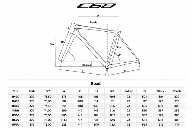 Colnago C68 Custom Sram Red AXS/Enve SES 4.5 Road Bike 