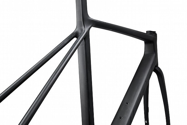 Giant 2025 TCR Advanced SL Frameset Raw Carbon