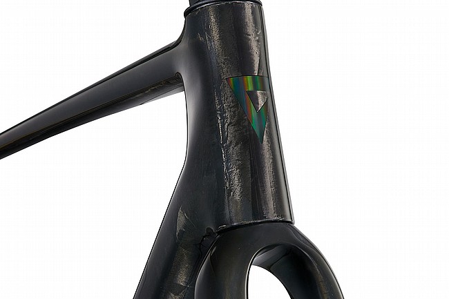 Giant 2025 TCR Advanced Pro Frameset Raw Carbon