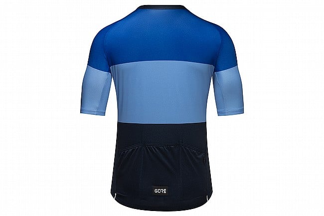 Gore Wear Mens Spirit Stripes Jersey 