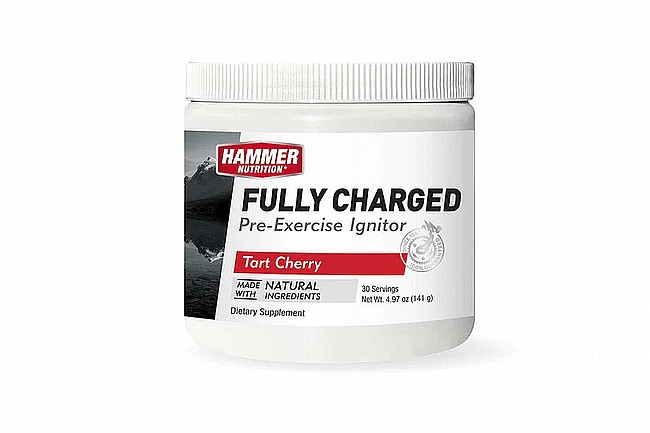 Hammer Nutrition Fully Charged 