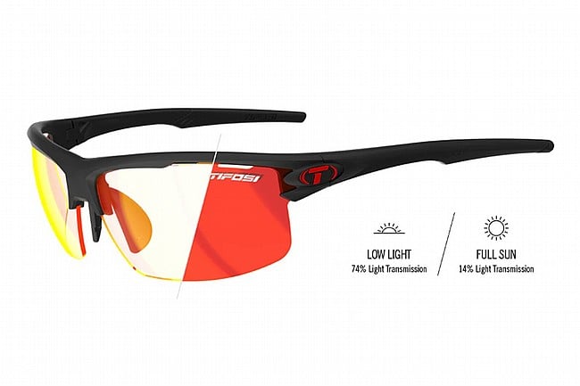 Tifosi Rivet Sunglasses 