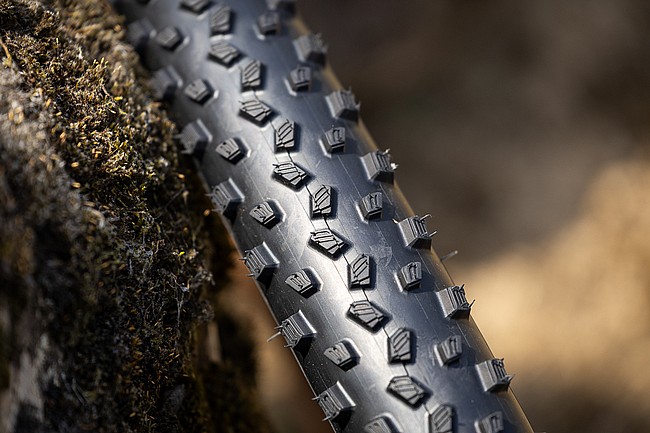 Vittoria Torrente XC Race 29 Inch MTB Tire  