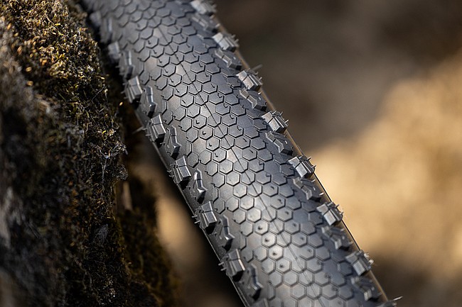 Vittoria Terreno XC Race 29 Inch MTB Tire 