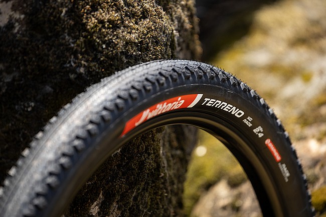 Vittoria Terreno XC Race 29 Inch MTB Tire 