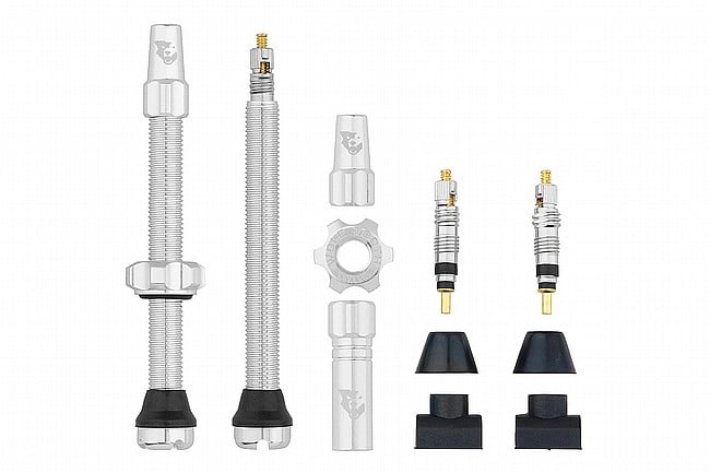 Wolf Tooth Components Tubeless Valve Stems Raw Silver